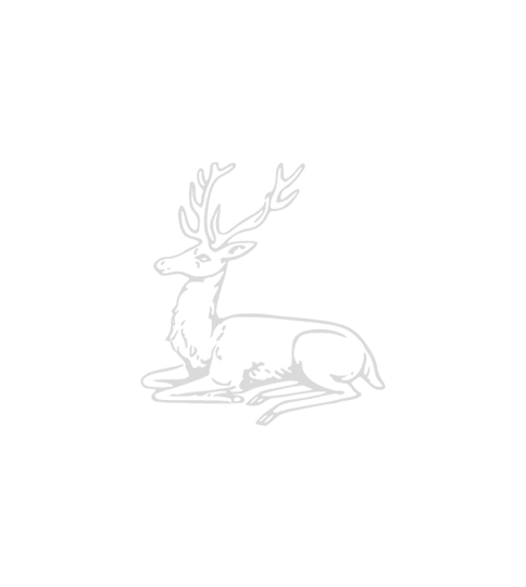 Cart