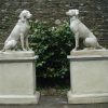 A Wonderful Pair of Hunting Dogs on Plinths - Reclaimed Garden Statuary