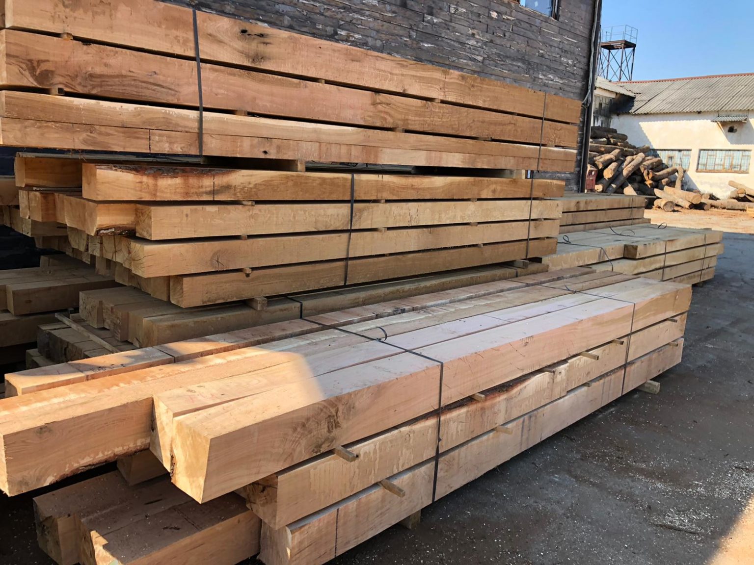 Green Oak Structural Beams Fresh Sawn 200mm x 200mm / 8 Inches x 8
